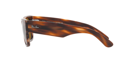 RB0840S MEGA WAYFARER