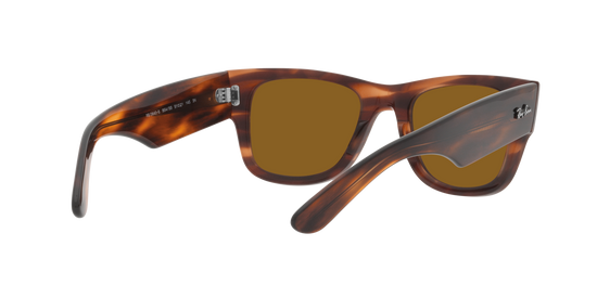 RB0840S MEGA WAYFARER