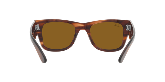 RB0840S MEGA WAYFARER