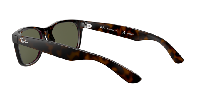 RB2132 NEW WAYFARER