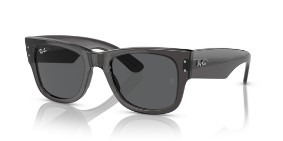 RB0840S MEGA WAYFARER