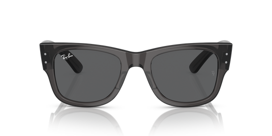 RB0840S MEGA WAYFARER