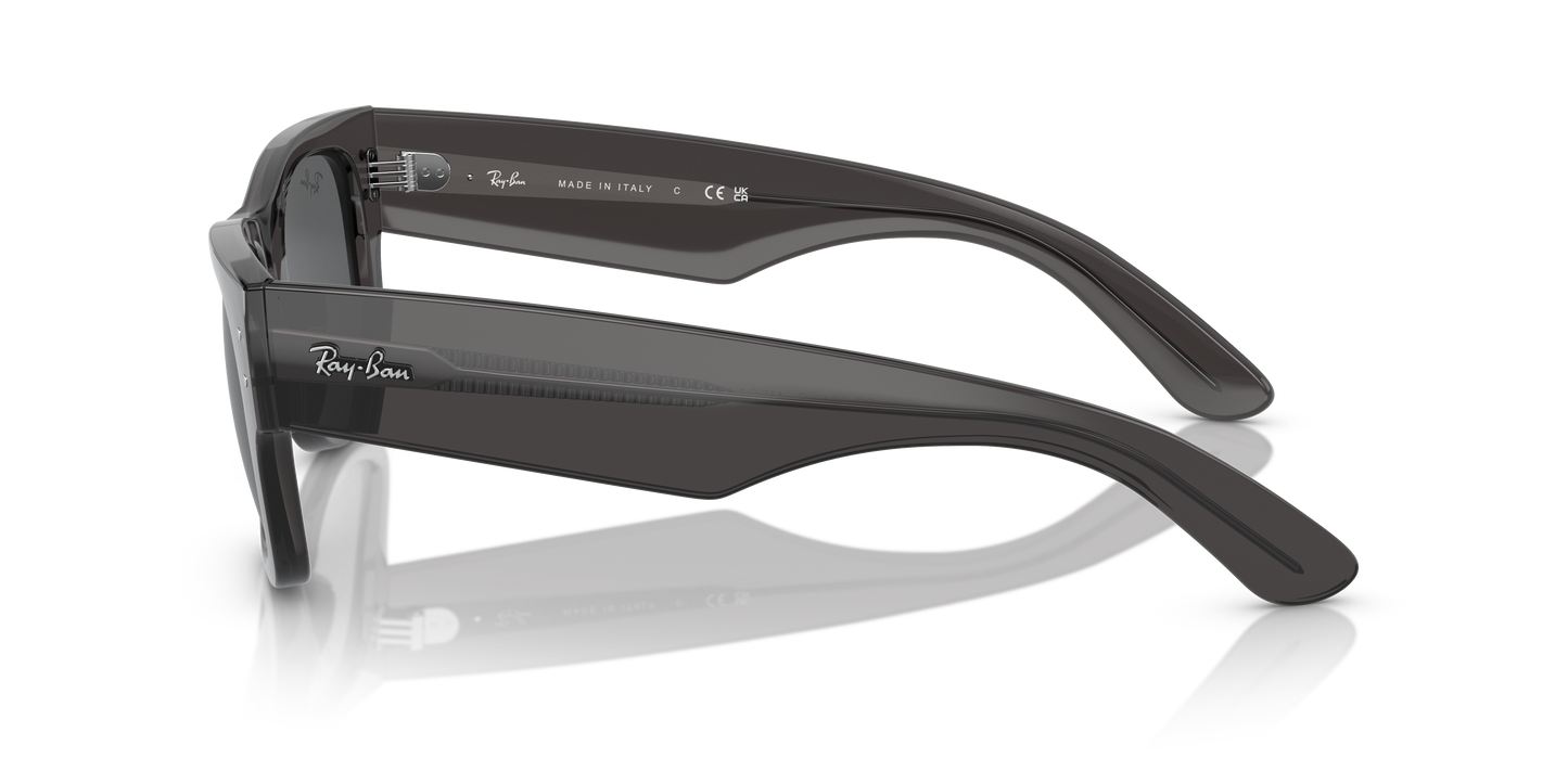 RB0840S MEGA WAYFARER