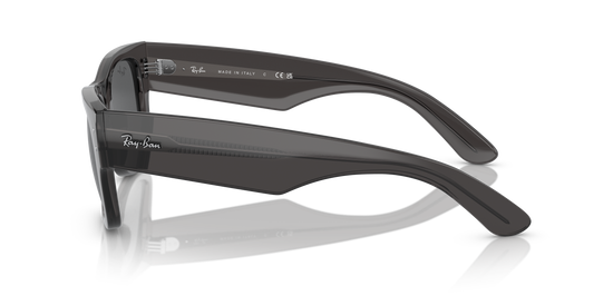 RB0840S MEGA WAYFARER