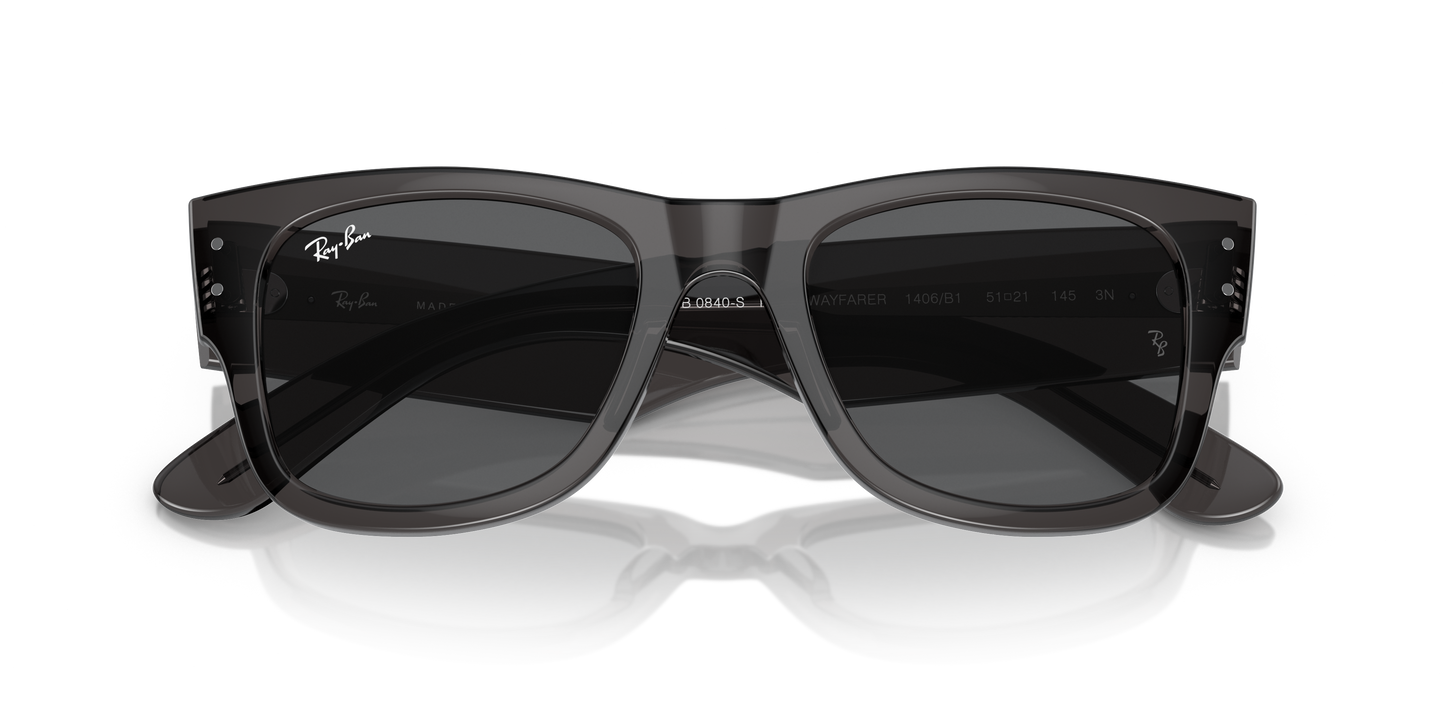 RB0840S MEGA WAYFARER