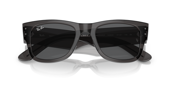 RB0840S MEGA WAYFARER