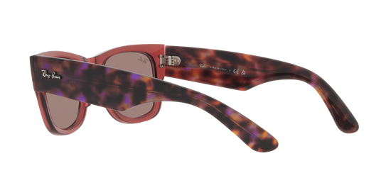 RB0840S MEGA WAYFARER